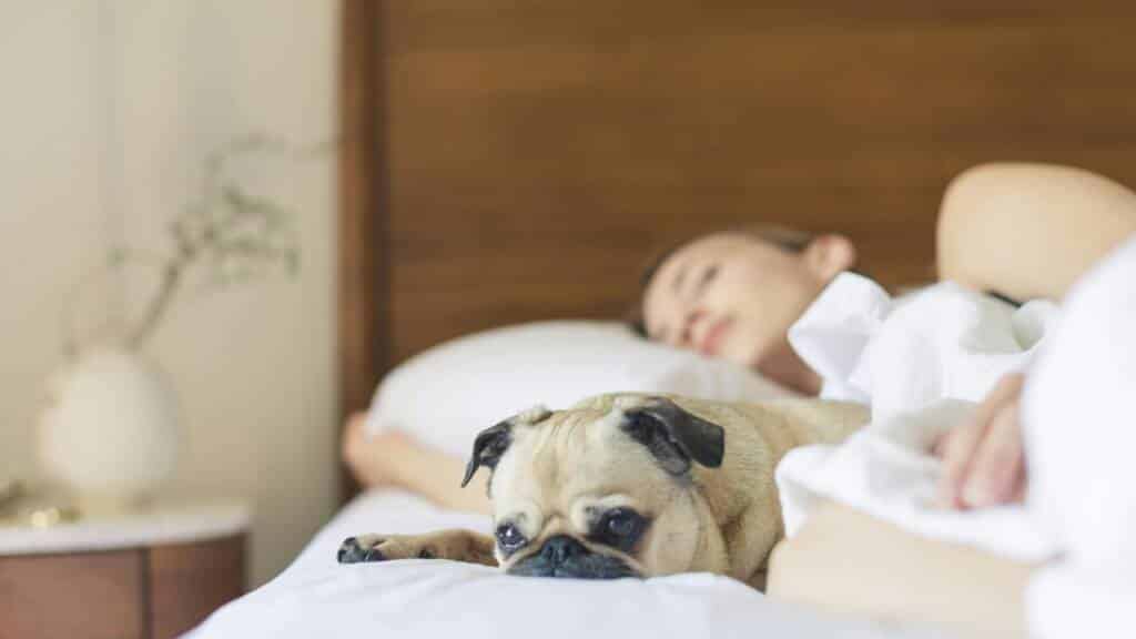 Photography by Burst - 10 Ways to Improve Your Sleep in 2025